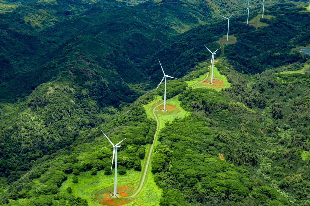 photo showoing drone shot of windfarm in forest