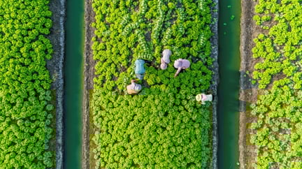 sustainability-1280x720